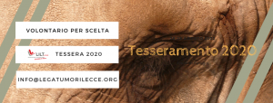 TESSERA 2020