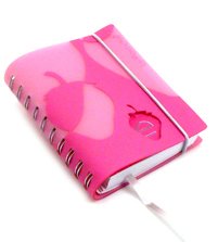 Consulta femminile