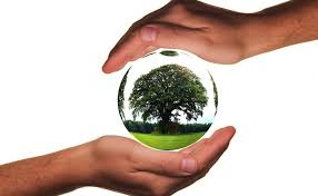 Alimentazione