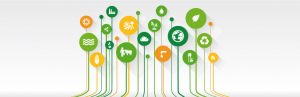 10mo Corso di aggiornamento “Ambiente e Salute”: Rifiuti 0