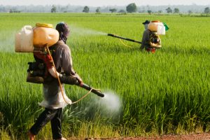 INTERFERENTI ENDOCRINI  L’EUROPA DECIDE DI NON DECIDERE