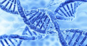 LA CONSULTAZIONE MEDICA E PSICOLOGICA  NEL RISCHIO GENETICO
