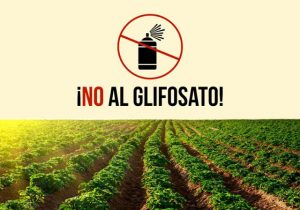 NUOVE ACCUSE AL GLIFOSATO