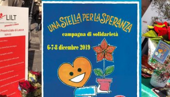 6-7-8 Dicembre in piazza con le stelle di natale di LILT LECCE