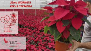 32ma GIORNATA PER LA SPERANZA